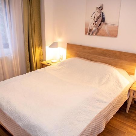 Classic Apartment Near The City Center クルージュ＝ナポカ エクステリア 写真