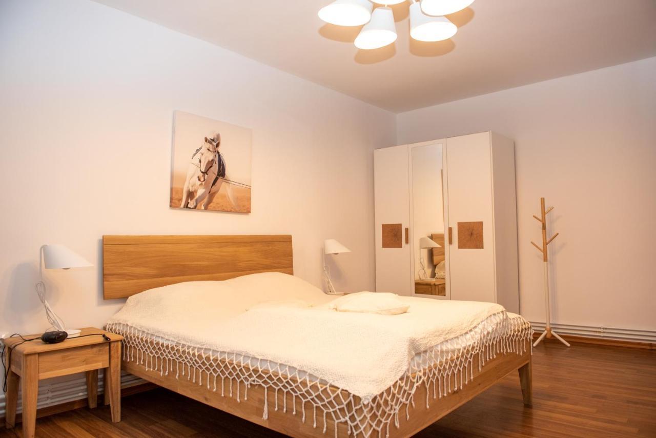Classic Apartment Near The City Center クルージュ＝ナポカ エクステリア 写真