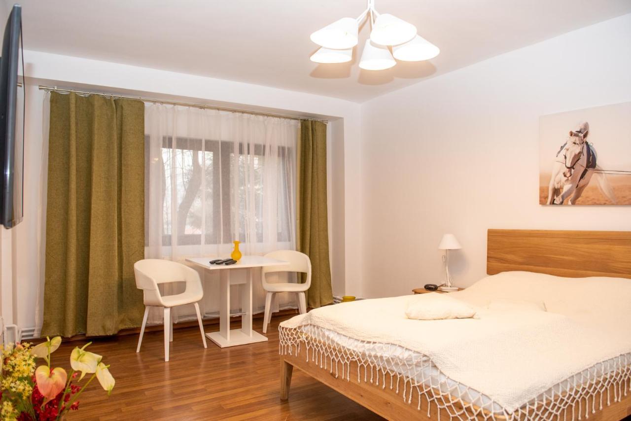 Classic Apartment Near The City Center クルージュ＝ナポカ エクステリア 写真