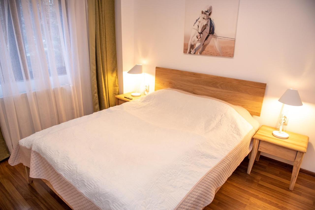 Classic Apartment Near The City Center クルージュ＝ナポカ エクステリア 写真