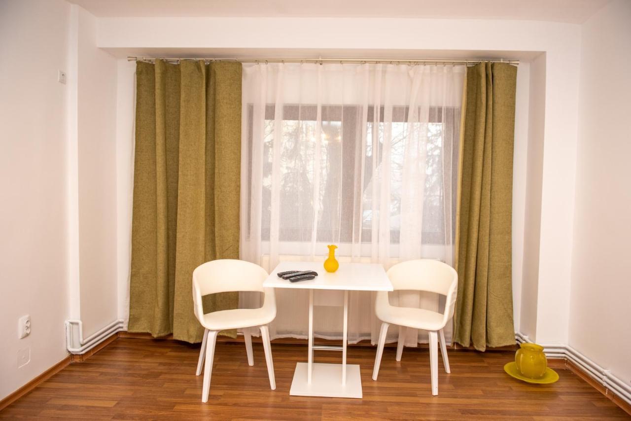 Classic Apartment Near The City Center クルージュ＝ナポカ エクステリア 写真