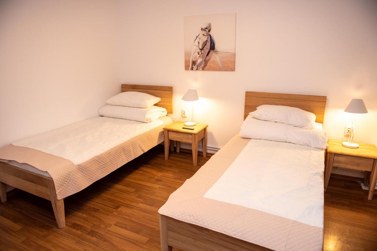 Classic Apartment Near The City Center クルージュ＝ナポカ エクステリア 写真