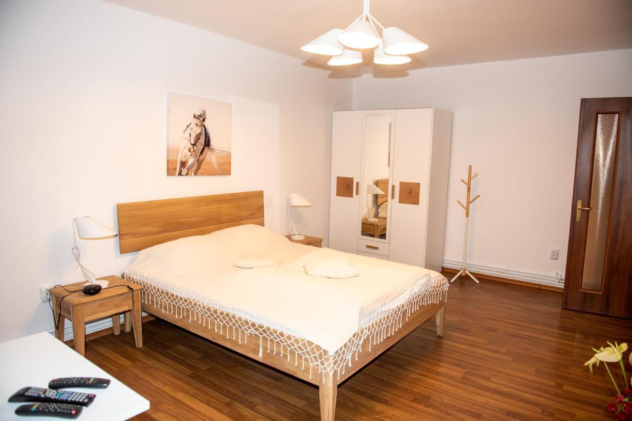 Classic Apartment Near The City Center クルージュ＝ナポカ エクステリア 写真
