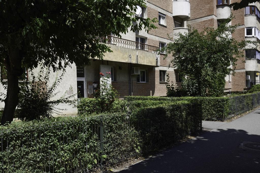 Classic Apartment Near The City Center クルージュ＝ナポカ エクステリア 写真